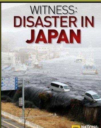 Катастрофа в Японии: Свидетельства очевидцев смотреть онлайн